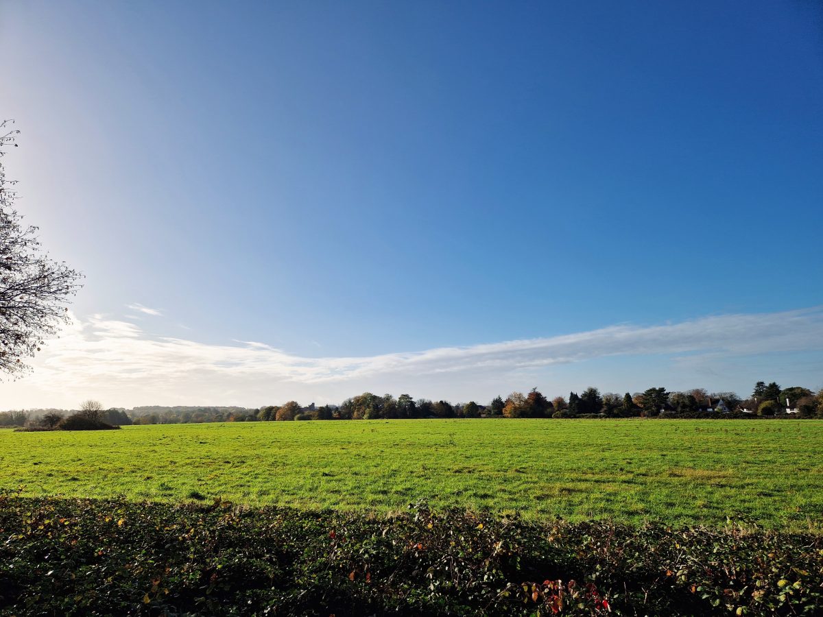 Residents Take Action As Green Belt Comes Under Threat