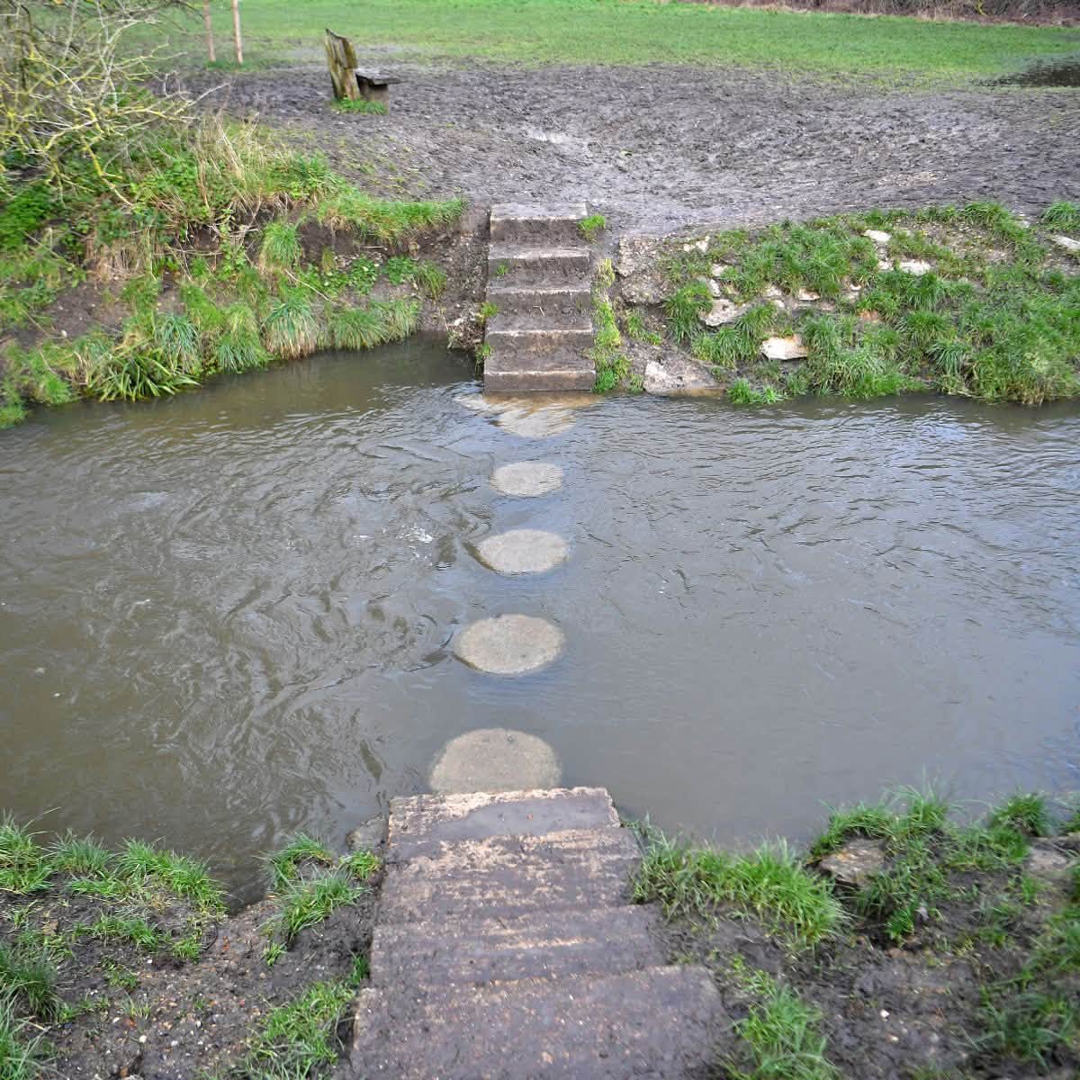 Hogsmill River