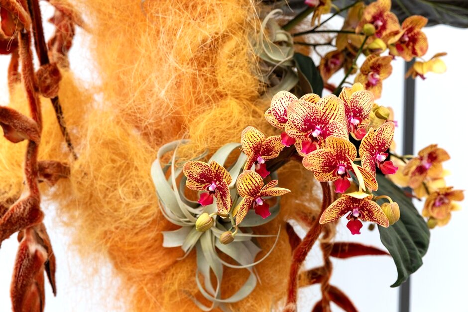 NAFAS Floral Art Show