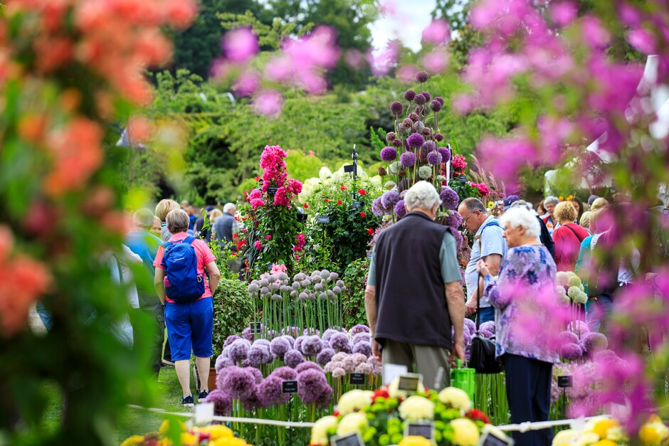 Wisley Flower Show