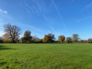 Hook Road Arena Epsom