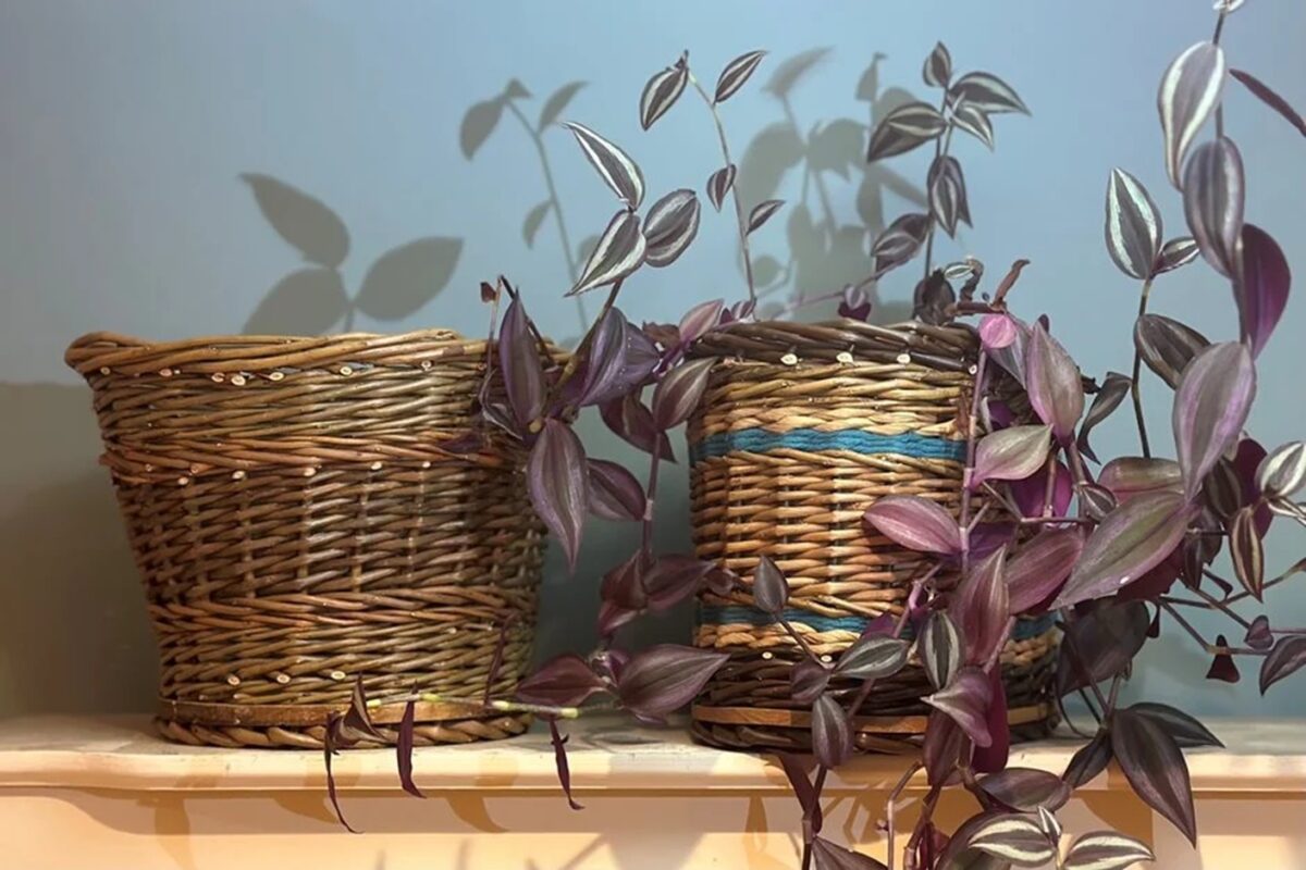 Make a willow planter